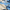 Promotion banner